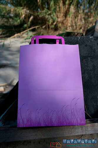 Bolsa de papel 3