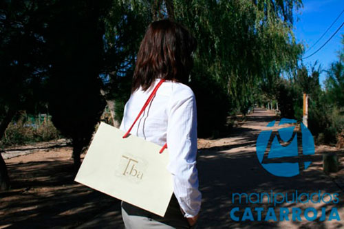 Bolsa de papel 5