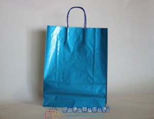 Bolsa de Papel Impresa Azul